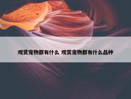 观赏宠物都有什么 观赏宠物都有什么品种