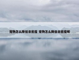 宠物怎么降低亲密度 宠物怎么降低亲密度呢