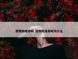 宠物狗难养吗 宠物狗难养吗为什么