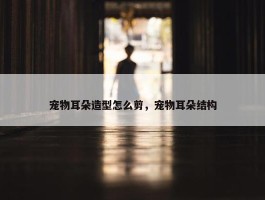 宠物耳朵造型怎么剪，宠物耳朵结构