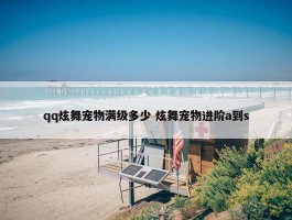 qq炫舞宠物满级多少 炫舞宠物进阶a到s