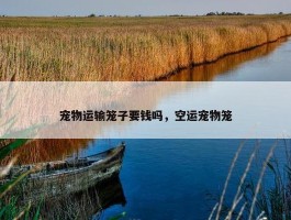 宠物运输笼子要钱吗，空运宠物笼