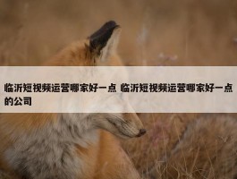 临沂短视频运营哪家好一点 临沂短视频运营哪家好一点的公司