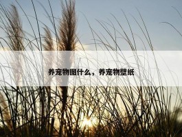 养宠物图什么，养宠物壁纸