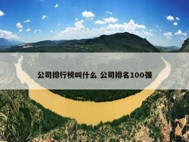 公司排行榜叫什么 公司排名100强