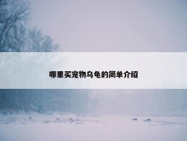 哪里买宠物乌龟的简单介绍