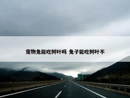 宠物兔能吃树叶吗 兔子能吃树叶不