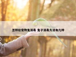 怎样给宠物兔消毒 兔子消毒方法有几种