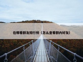 在哪看群友排行榜（怎么查看群内好友）