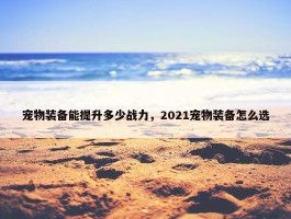 宠物装备能提升多少战力，2021宠物装备怎么选