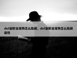 dnf副职业宠物怎么隐藏，dnf副职业宠物怎么隐藏属性