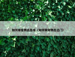 如何带宠物去出境（如何带宠物出远门）