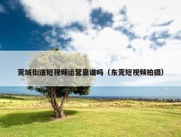 莞城街道短视频运营靠谱吗（东莞短视频拍摄）