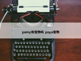 yamy有宠物吗 yaya宠物