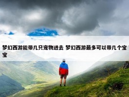 梦幻西游能带几只宠物进去 梦幻西游最多可以带几个宝宝