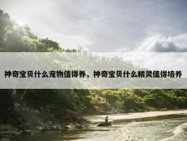 神奇宝贝什么宠物值得养，神奇宝贝什么精灵值得培养