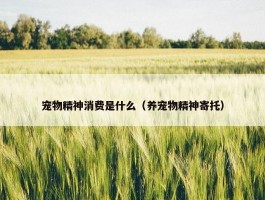 宠物精神消费是什么（养宠物精神寄托）