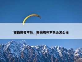 宠物鸡养不熟，宠物鸡养不熟会怎么样