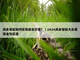 具身智能如何实现商业价值？｜2024具身智能大会嘉宾金句实录