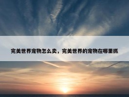 完美世界宠物怎么卖，完美世界的宠物在哪里抓