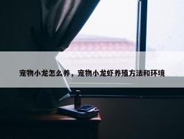 宠物小龙怎么养，宠物小龙虾养殖方法和环境