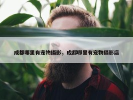 成都哪里有宠物摄影，成都哪里有宠物摄影店