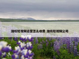 潍坊短视频运营怎么收费 潍坊短视频公司