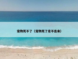 宠物死不了（宠物死了走不出来）