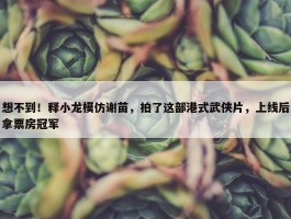 想不到！释小龙模仿谢苗，拍了这部港式武侠片，上线后拿票房冠军