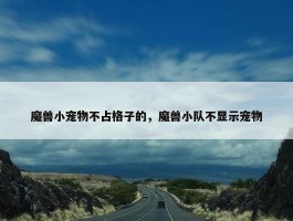 魔兽小宠物不占格子的，魔兽小队不显示宠物