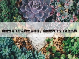 魔兽世界飞行宠物怎么捕捉，魔兽世界飞行任务怎么做