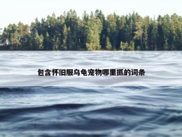 包含怀旧服乌龟宠物哪里抓的词条