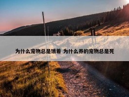 为什么宠物总是饿着 为什么养的宠物总是死