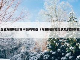 企业短视频运营问题有哪些（短视频运营现状及问题探究）