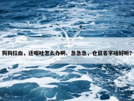 狗狗拉血，还呕吐怎么办啊、急急急，仓鼠名字啥好听？