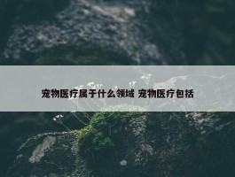 宠物医疗属于什么领域 宠物医疗包括