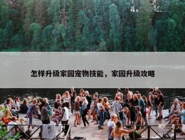 怎样升级家园宠物技能，家园升级攻略