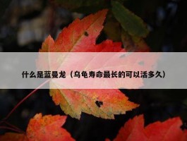 什么是蓝曼龙（乌龟寿命最长的可以活多久）