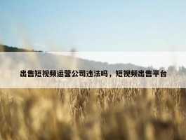 出售短视频运营公司违法吗，短视频出售平台