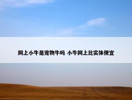 网上小牛是宠物牛吗 小牛网上比实体便宜