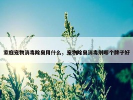 家庭宠物消毒除臭用什么，宠物除臭消毒剂哪个牌子好