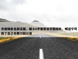 辛雨锡拿出新证据，曝小6岁秦霄贤孕期出轨，喊话宁可毁了自己也要讨回公道