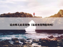 延庆哪儿能卖宠物（延庆有宠物医院吗）