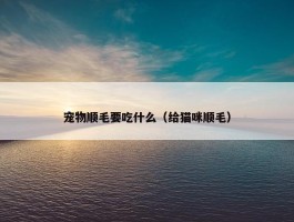 宠物顺毛要吃什么（给猫咪顺毛）