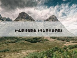 什么是抖音歌曲（什么是抖音的歌）