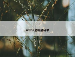 wcba全明星名单