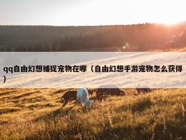 qq自由幻想捕捉宠物在哪（自由幻想手游宠物怎么获得）