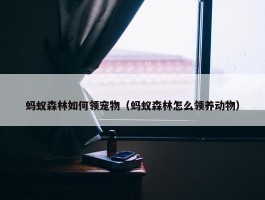 蚂蚁森林如何领宠物（蚂蚁森林怎么领养动物）