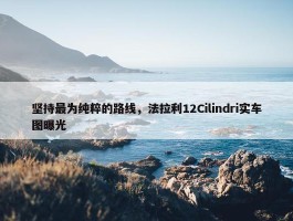 坚持最为纯粹的路线，法拉利12Cilindri实车图曝光