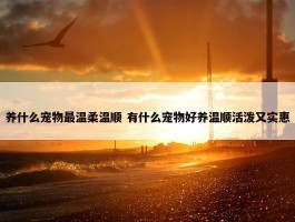 养什么宠物最温柔温顺 有什么宠物好养温顺活泼又实惠